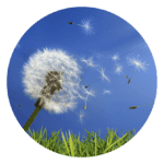 ActiveAir beskytter aktivt mod pollen