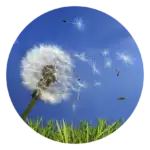 ActiveAir beskytter aktivt mod pollen