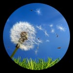 ActiveAir beskytter aktivt mod pollen